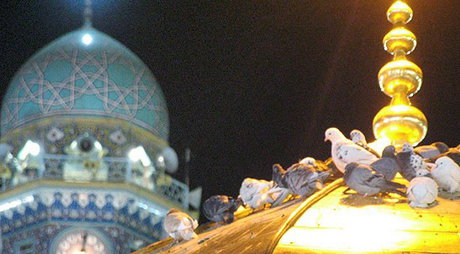 ‌حدود 500 ایستگاه صلواتی برای زائرین امام رضا(ع) برپا می‌شود
