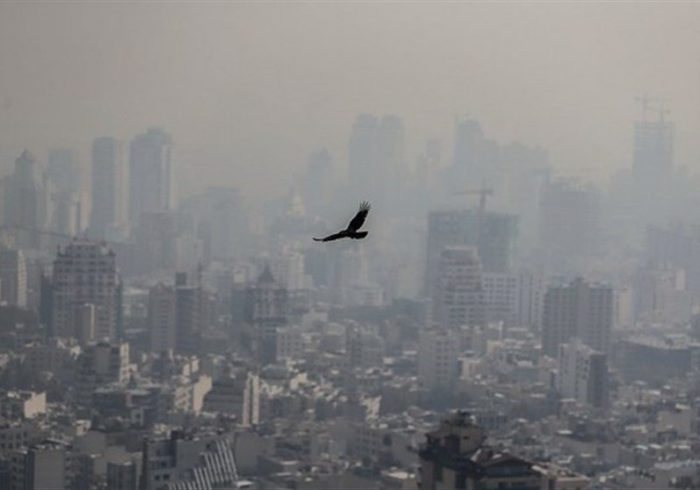 راهکارهای کاهش آلودگی هوا از نگاه یک نماینده مجلس