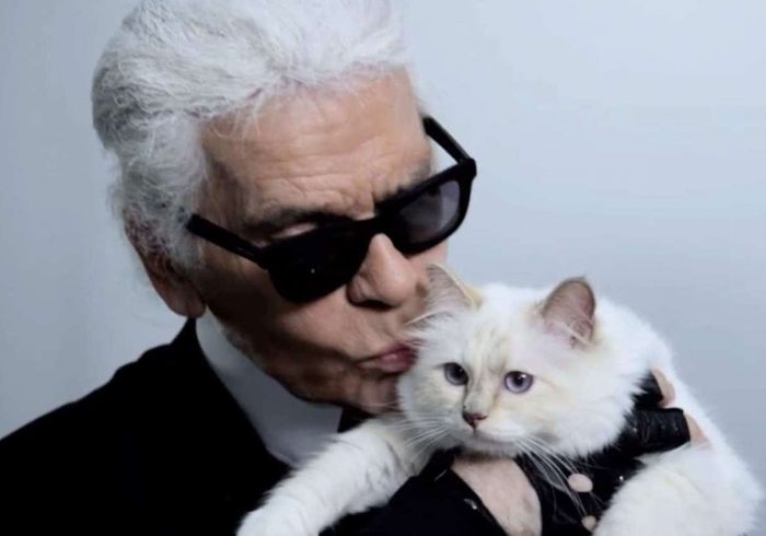 گربهای با ۲۰۰ میلیون دلار ثروت! گربهای با ۲۰۰ میلیون دلار ثروت!