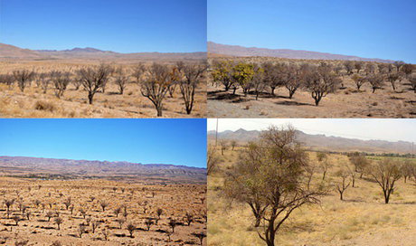 هزینه 400 میلیاردی تامین آب یزد از دریای عمان