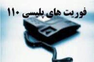 320 هزار تماس با پلیس 110 توسط شهروندان ‌تهرانی