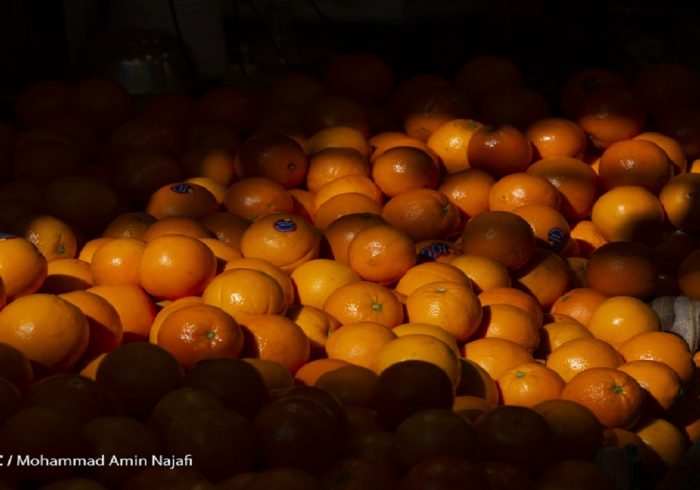 قیمت پرتقال و سیب زرد شب عید از محل ذخایر دولت برای تنظیم بازار اعلام شد.