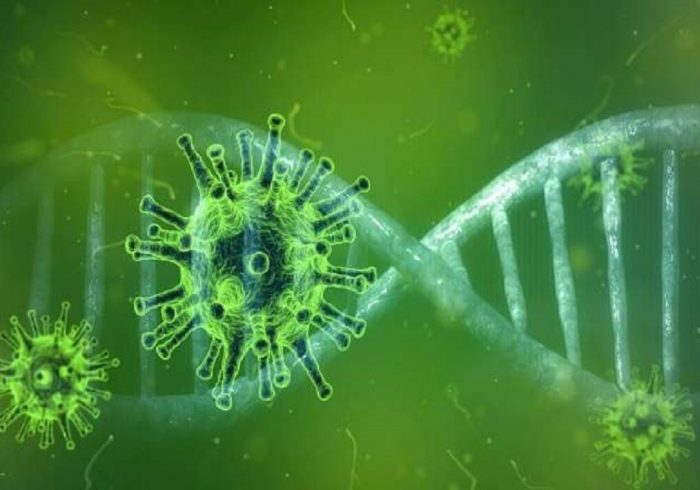 ورود ویروس کرونا به DNA بیماران صحت ندارد