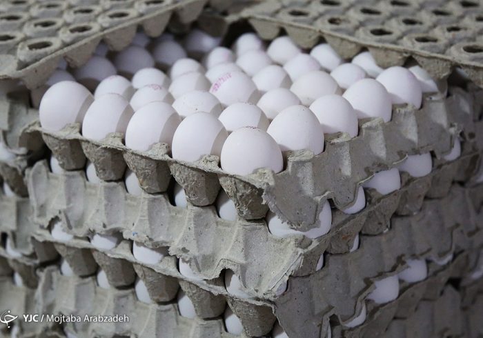 قیمت تخم مرغ دوباره پر کشید؟