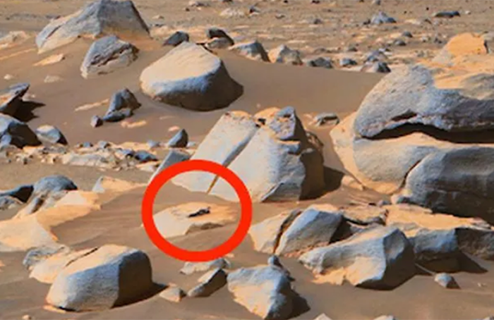 ادعا کشف موجود فرازمینی صورتی در مریخ
