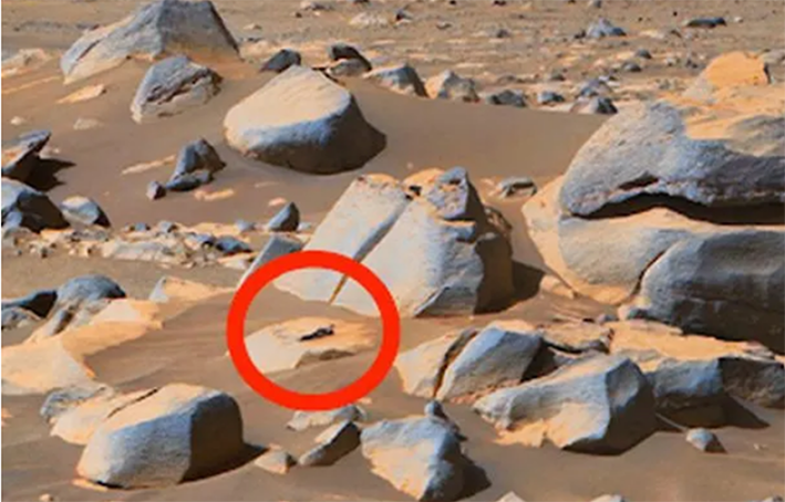 ادعا کشف موجود فرازمینی صورتی در مریخ