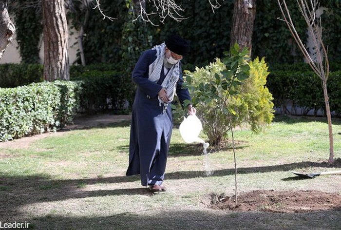 تخریب جنگلها و محیط زیست، تخریب منافع ملی است تخریب جنگلها و محیط زیست، تخریب منافع ملی است