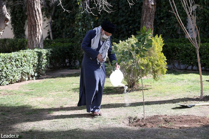 تخریب جنگلها و محیط زیست، تخریب منافع ملی است تخریب جنگلها و محیط زیست، تخریب منافع ملی است
