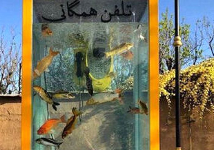 تصویری از زیباترین تلفن همگانی ایران