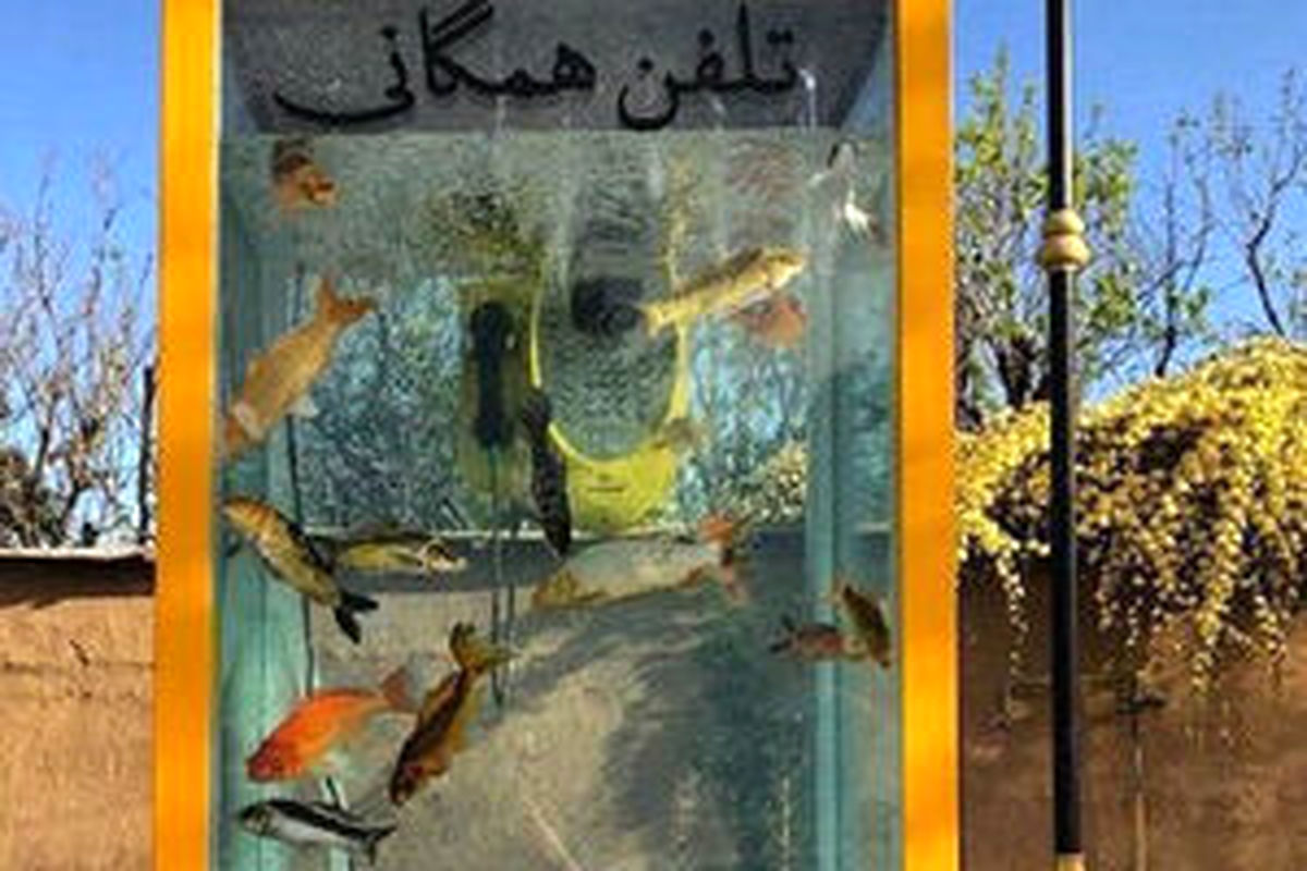 تصویری از زیباترین تلفن همگانی ایران