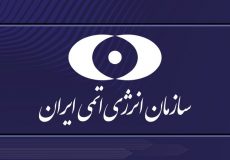 فعالیت تعدادی از دوربین‌های فراپادمانی آژانس در ایران قطع شد