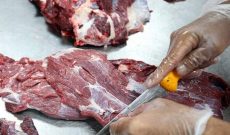 استخوان لای زخم بازار گوشت/ درمان چیست؟