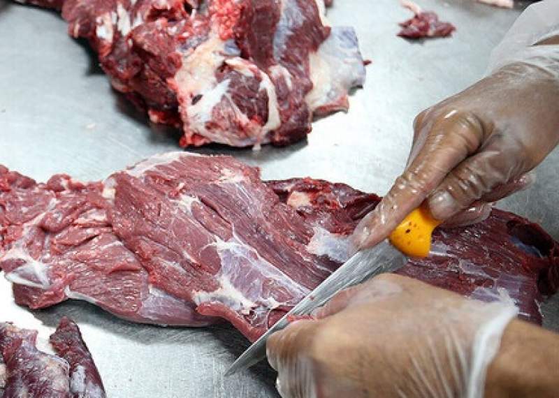 استخوان لای زخم بازار گوشت/ درمان چیست؟ استخوان لای زخم بازار گوشت/ درمان چیست؟