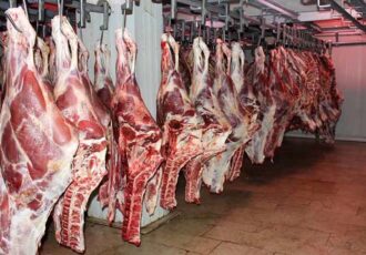 نگرانی از بابت تامین گوشت نداریم/ ورود روزی ۲۵۰ تن گوشت به کشور