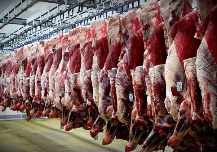 گوشت کیلویی ۷۰۰ هزار تومان سودجویی است
