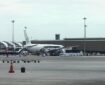 31 کشته و زخمی در فرود اضطراری هواپیمای سنگاپور