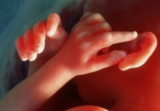 جفت روی یک تراشه و محافظت از نوزادان