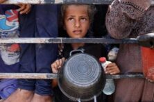 تعلیق فعالیت صلیب سرخ در غزه به دلیل حملات اسرائیل