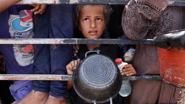 تعلیق فعالیت صلیب سرخ در غزه به دلیل حملات اسرائیل
