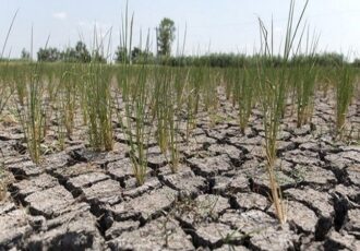 پسته و زعفران راهکار مقابله با کم آبی! پسته و زعفران راهکار مقابله با کم آبی!