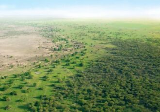 تغییر چرخه آب در چین با کاشت درخت!