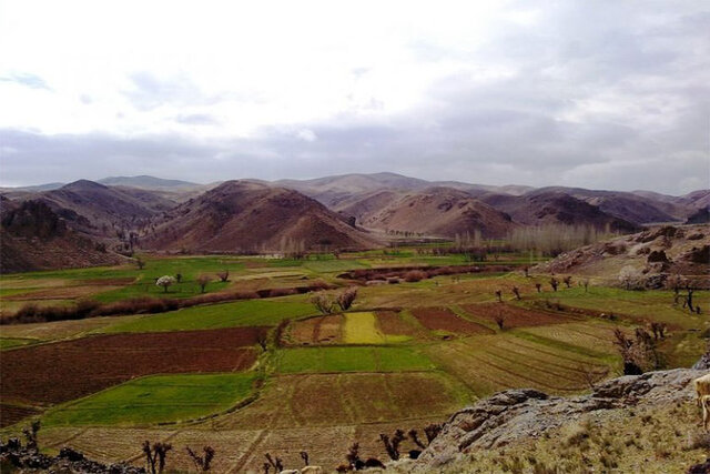 کشاورزی سنتی و هدر رفت شدید آب در کوهسرخ