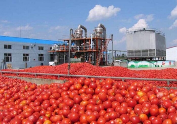 واحدهای تولیدی خراسان رضوی از زمان جنگ بدون وقفه فعالیت می کنند