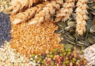 نعل وارونه در امنیت غذایی