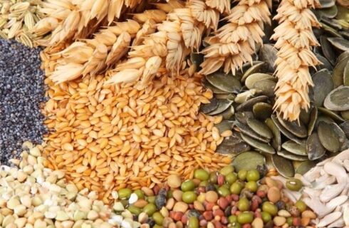 نعل وارونه در امنیت غذایی