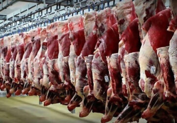 عرضه گوشت اسب، قاطر و الاغ مجوز ندارد!