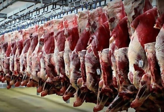 عرضه گوشت اسب، قاطر و الاغ مجوز ندارد!